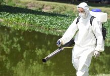 Malvinas Argentinas: comenzó la campaña contra el dengue 2020/2021