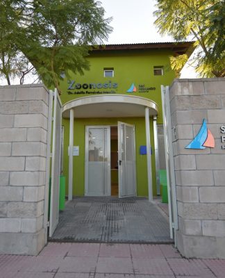 San Fernando: Zoonosis ofrecerá turnos online y volverá a recorrer los barrios con el quirófano móvil