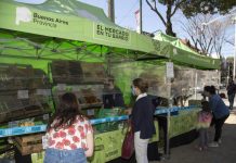 San Isidro: enterate por donde pasará ‘El Mercado en tu Barrio’ esta semana