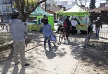 San Isidro: enterate donde va a estar ‘El Mercado en tu Barrio’ esta semana