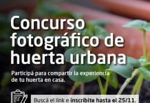 Morón: nuevo concurso de fotografía sobre huertas urbanas