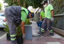 San Fernando: el Municipio continúa con la parquización de las avenidas y centros comerciales