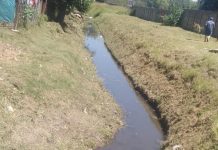 Merlo: limpieza en el arroyo Granaderos