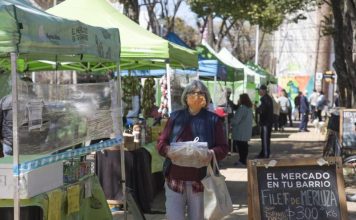 San Isidro: ‘El Mercado en tu Barrio’ esta semana pasará por Boulogne, Beccar y Martínez