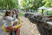 San Isidro: ¿Cómo es el protocolo sanitario en la Chacra Educativa San Isidro Labrador?