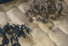 San Isidro: por denuncias del Municipio, detienen a tres personas que vendían drogas