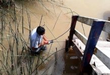 Tigre: continúan los trabajos de mantenimiento integral en el Delta