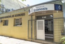 San Isidro: el Municipio moderniza la sede central de Zoonosis