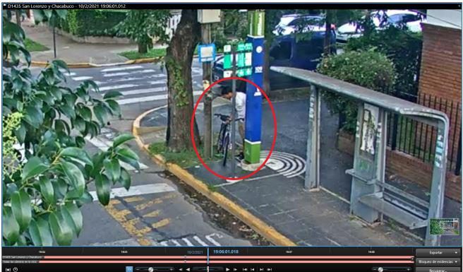 Vicente López: por robar una bicicleta le encontraron 14 plantas de marihuana