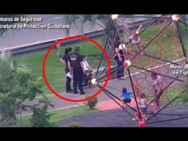 Tigre: un niño accidentado fue asistido rápidamente tras un alerta desde un tótem de seguridad del COT