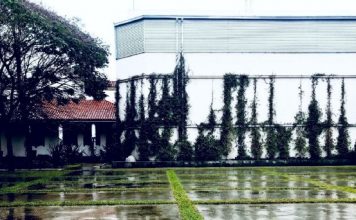 Vicente López: realizarán clínica de guiones cinematográficos gratuita