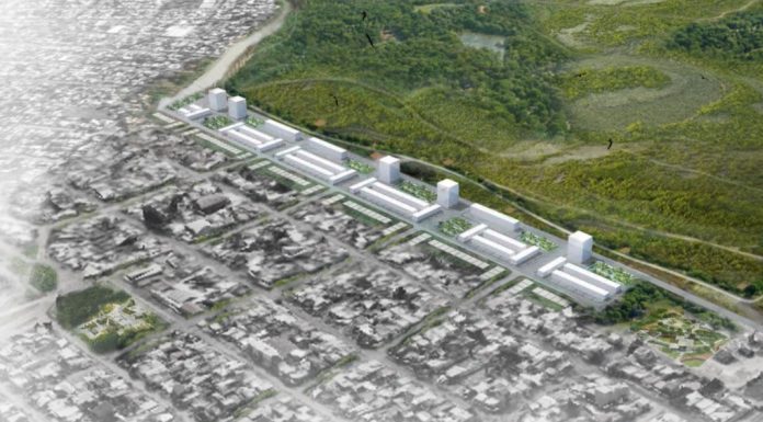 Morón: el Municipio resolverá la construcción y el traslado de un refugio de perros de El Palomar