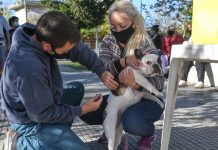 San Fernando: el Municipio celebró el Día del Animal con un operativo de castración y vacunación en la Plaza San Pablo