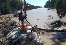 Tigre: se extienden los trabajos de destronque en el Delta