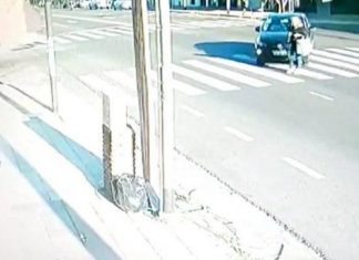 San Martín: piden suspender a conductor que atropelló a una mujer, tapó la patente de su auto y se dio a la fuga