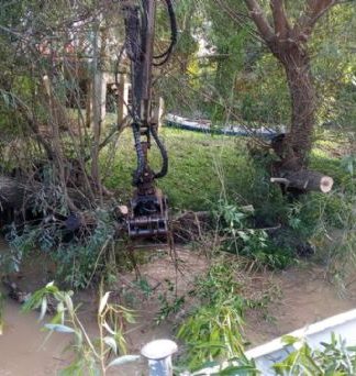Tigre: se profundiza los trabajos de destronque y reparación de muelles, puentes y luminarias