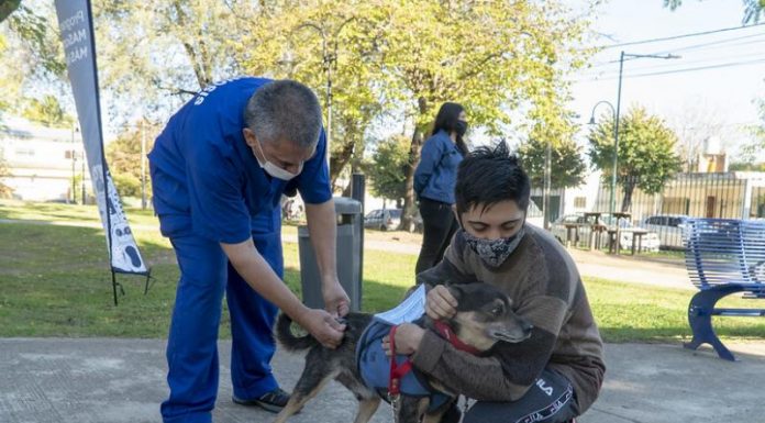 San Isidro: ¿Dónde vacunar gratis a las mascotas?
