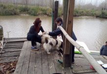 San Fernando recuerda a los vecinos la importancia de vacunar anualmente a sus mascotas contra la rabia