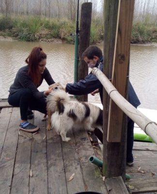 San Fernando recuerda a los vecinos la importancia de vacunar anualmente a sus mascotas contra la rabia