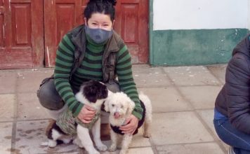 San Fernando: Zoonosis continúa realizando operativos en el Delta para la atención de mascotas