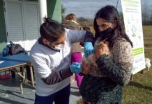 San Fernando: en el Delta se llevó adelante un operativo integral de Salud y Zoonosis