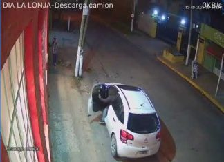 Pilar: esperaba a su hermana estacionada frente a un comercio y le robaron el auto