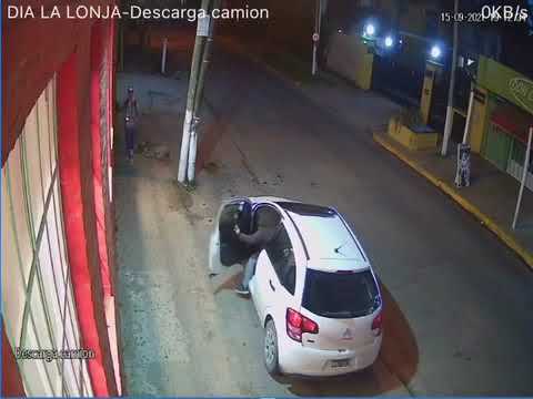 Pilar: esperaba a su hermana estacionada frente a un comercio y le robaron el auto