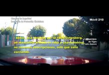 Tigre: Le robó la cartera a una mujer en la vía pública y agentes del COT lo detuvieron inmediatamente