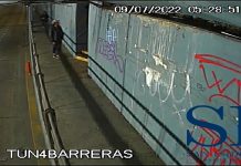 San Isidro: Detienen a un grupo de jóvenes por vandalizar el Tren de la Costa y un túnel