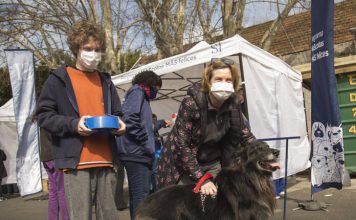 San Isidro: el Municipio lanza un programa para acercar diversos servicios a los vecinos