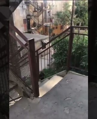 Matan a balazos a un exconvicto tras un tiroteo en “Fuerte Apache”