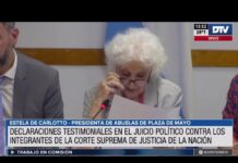 Carlotto y Garavano expusieron en el juicio político a la Corte Suprema