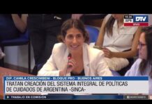 En plenario de Diputados, se inició el debate sobre tareas de cuidado