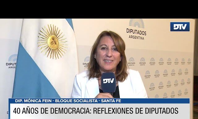 Diputados reflexionaron sobre la importancia de que se hayan cumplido 40 años interrumpidos en democracia