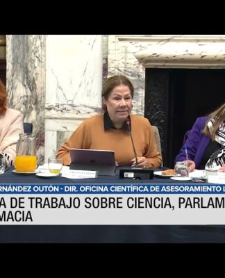 El titular de YPF defendió el régimen de promoción del gas natural licuado