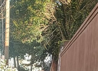 Beccar: denuncian que indigentes se instalaron en plena vereda, fuman paco, tiene sexo en la vía pública y queman cables para vender el cobre