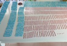 La PSA desbarató una organización narcocriminal con el sello del delfín y detuvo a 12 personas