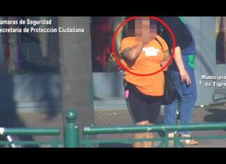 Agentes del Centro de Operaciones Tigre detuvieron a una “mechera” que robaba en los negocios de General Pacheco