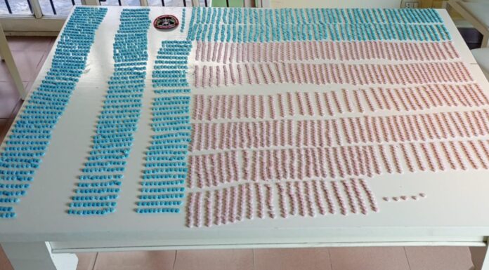 La PSA desbarató una organización narcocriminal con el sello del delfín y detuvo a 12 personas