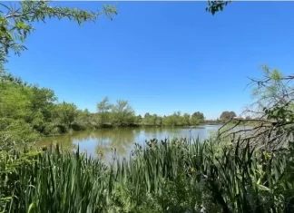 San Martín tendrá su primera Reserva Ecológica