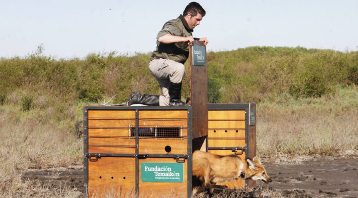 FUNDACIÓN TEMAIKÈN CELEBRA SU 25° ANIVERSARIO