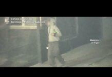 Tigre: agentes del COT detuvieron a un sospechoso luego abrir a la fuerza un vehículo y robar elementos