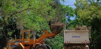 Cronograma del sistema municipal de recolección de ramas para esta semana