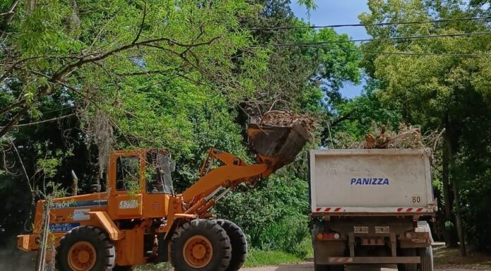 Cronograma del sistema municipal de recolección de ramas para esta semana