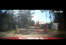 Robo y fuga en Ricardo Rojas: una pareja de malvivientes quedó detenida tras un rápido accionar del COT