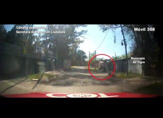 Robo y fuga en Ricardo Rojas: una pareja de malvivientes quedó detenida tras un rápido accionar del COT