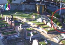 De las tumbas a las rejas: Ladrón de cementerios capturado gracias a la Inteligencia Artificial en Vicente López