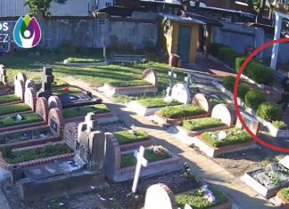 De las tumbas a las rejas: Ladrón de cementerios capturado gracias a la Inteligencia Artificial en Vicente López