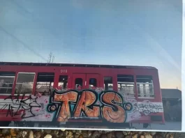Tigre: desarticularon a una banda acusada de vandalizar trenes de la línea Mitre con grafitis