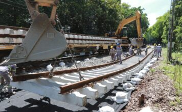 Línea Mitre: sus tres ramales restablecieron su servicio luego de las obras de renovación de vías